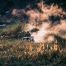 person riding ATV through field